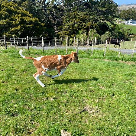 Pukeatua Farmstay Waimauku Buitenkant foto