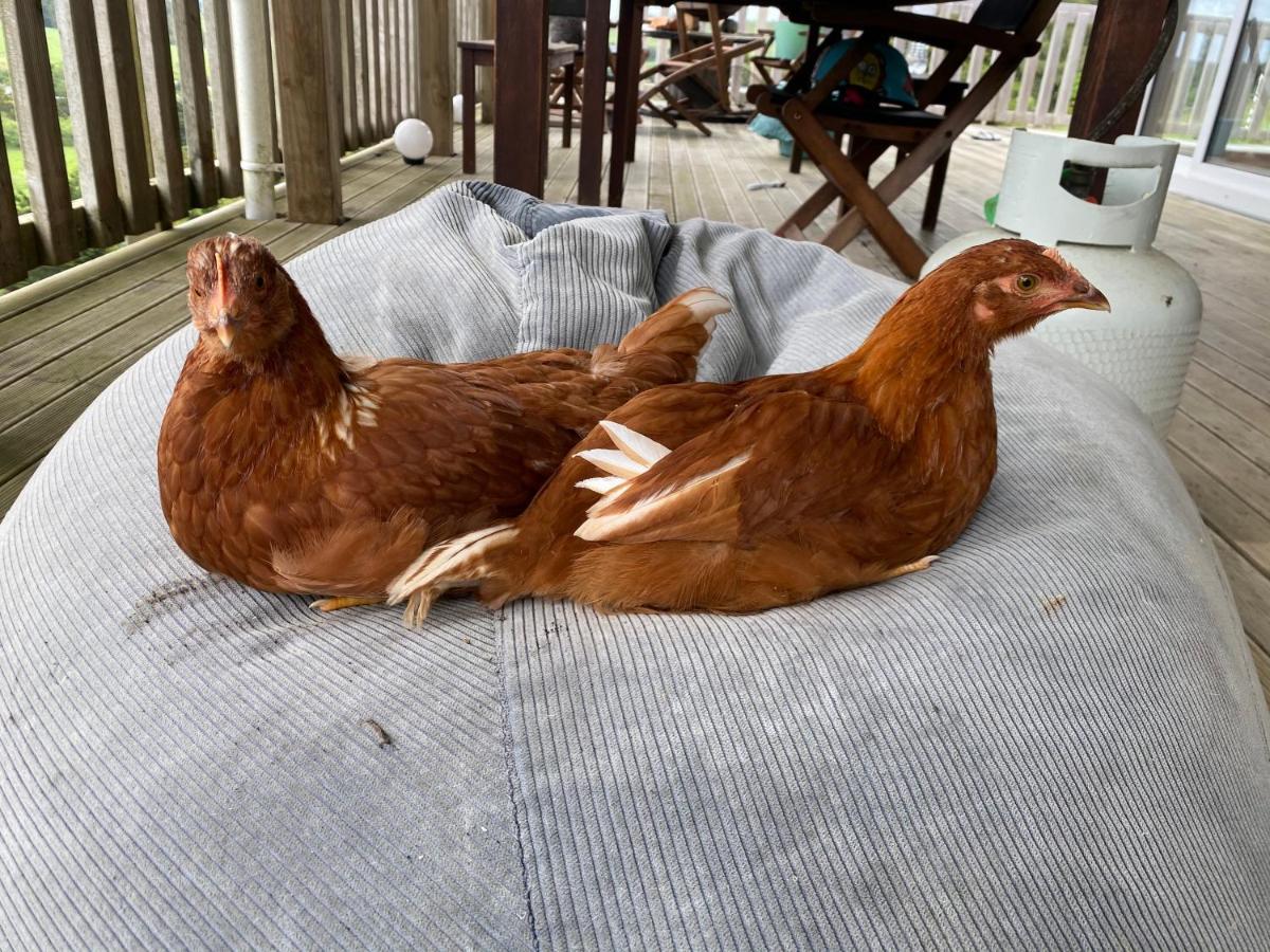 Pukeatua Farmstay Waimauku Buitenkant foto