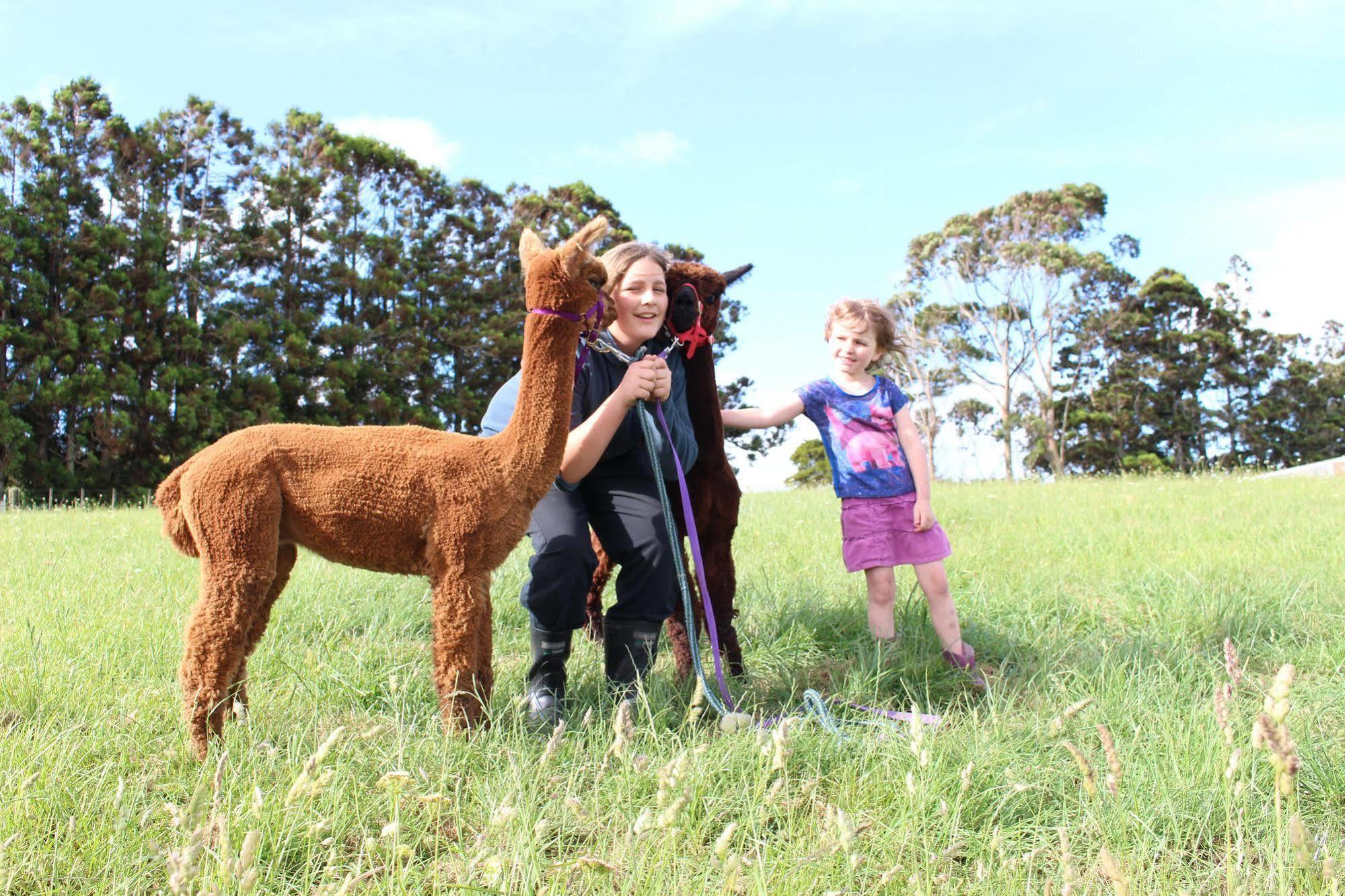 Pukeatua Farmstay Waimauku Buitenkant foto